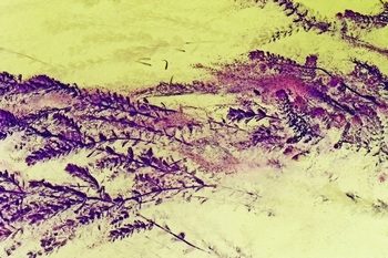 N 153A